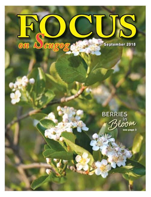 Focus on Scugog Article About Silvio's Farm in Port Perry ON Canada