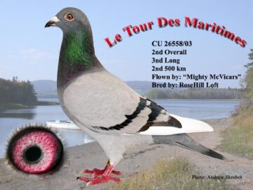 Le Tour Des Maritimes