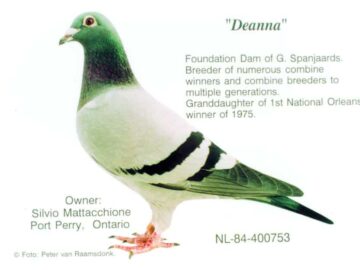 Deanna Foundation of G. Spanjaards