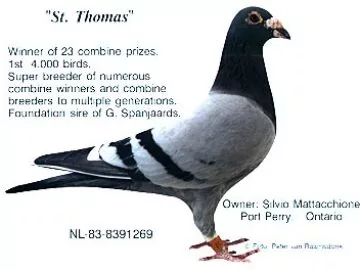 St. Thomas Winner of 23 Combine Prizes