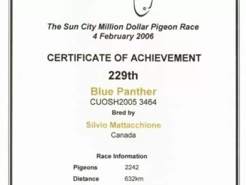 Sun City Million Dollar Pigeon Race 2006