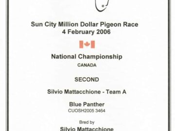 Sun City Million Dollar Pigeon Race 2006