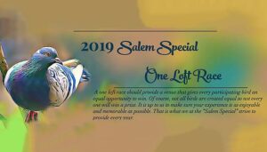 Salem Special - One Loft Race - OLR - Article by Silvio Mattacchione
