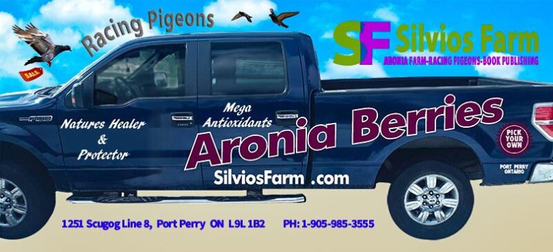 Silvio's Aronia Farm Truck in Port Perry, Ontario Canada