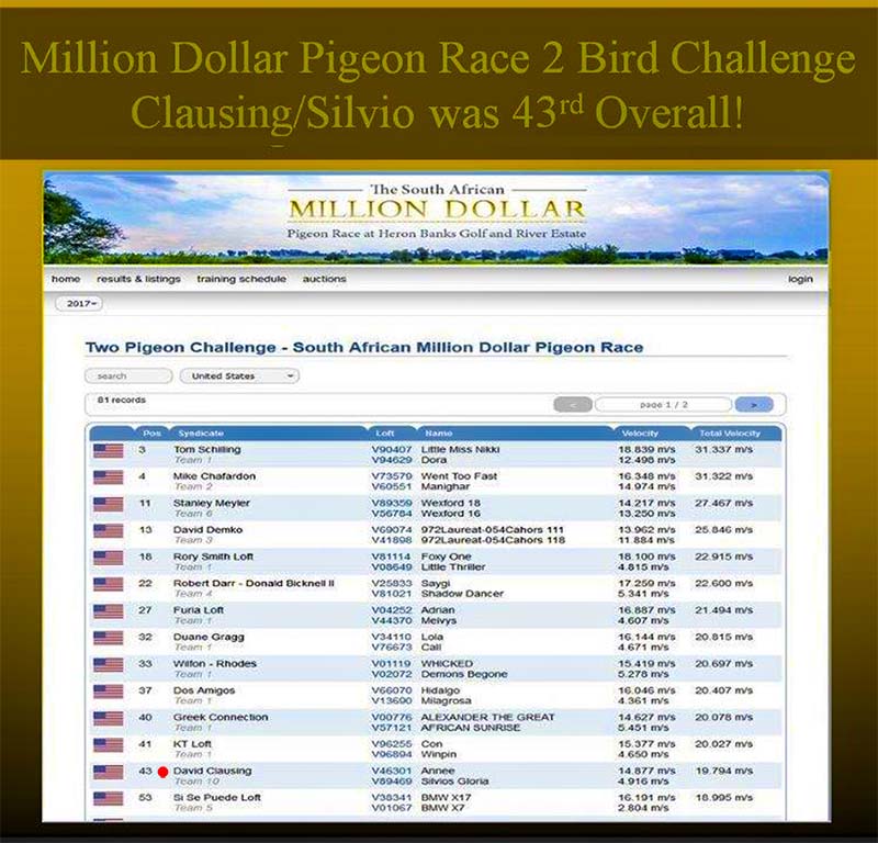 South African Million Dollar Pigeon Race, 2 Pigeon Challenge, 2017-02