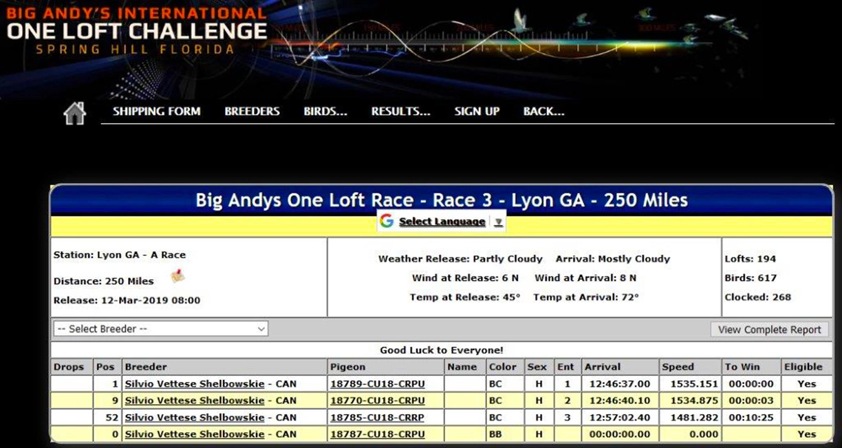 Big Andys One Loft Race, 250 Mile, 3 in Top 52