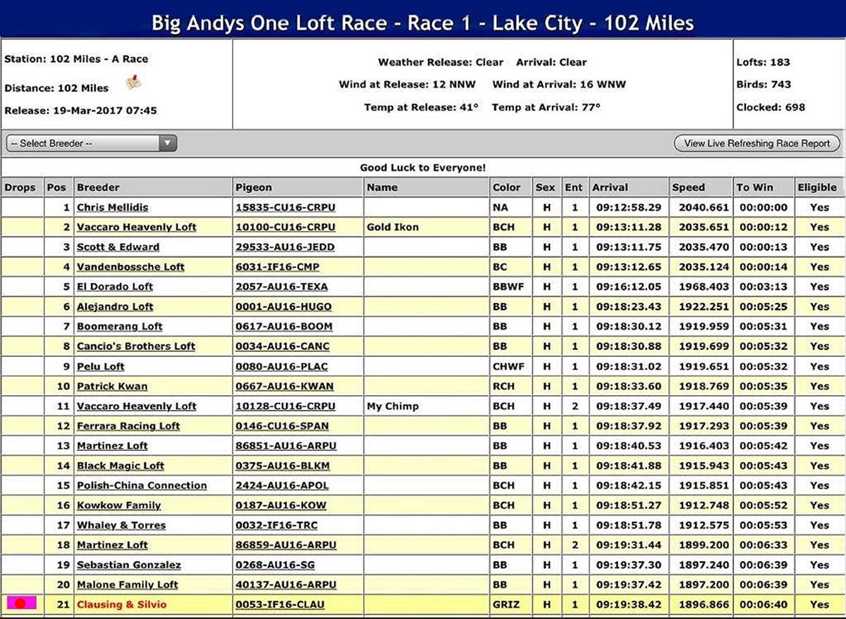 Big Andys One Loft Race, Race 1, 102 Mile, 21st Place, Lake City 2017-3-19