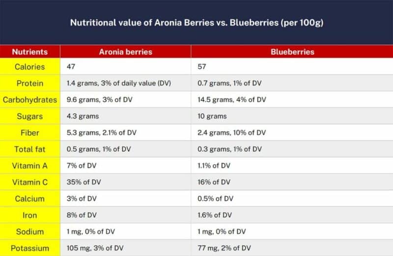 Aronia Berry Health Benefits - Aronia Berries vs Blueberries - Nutritional Value